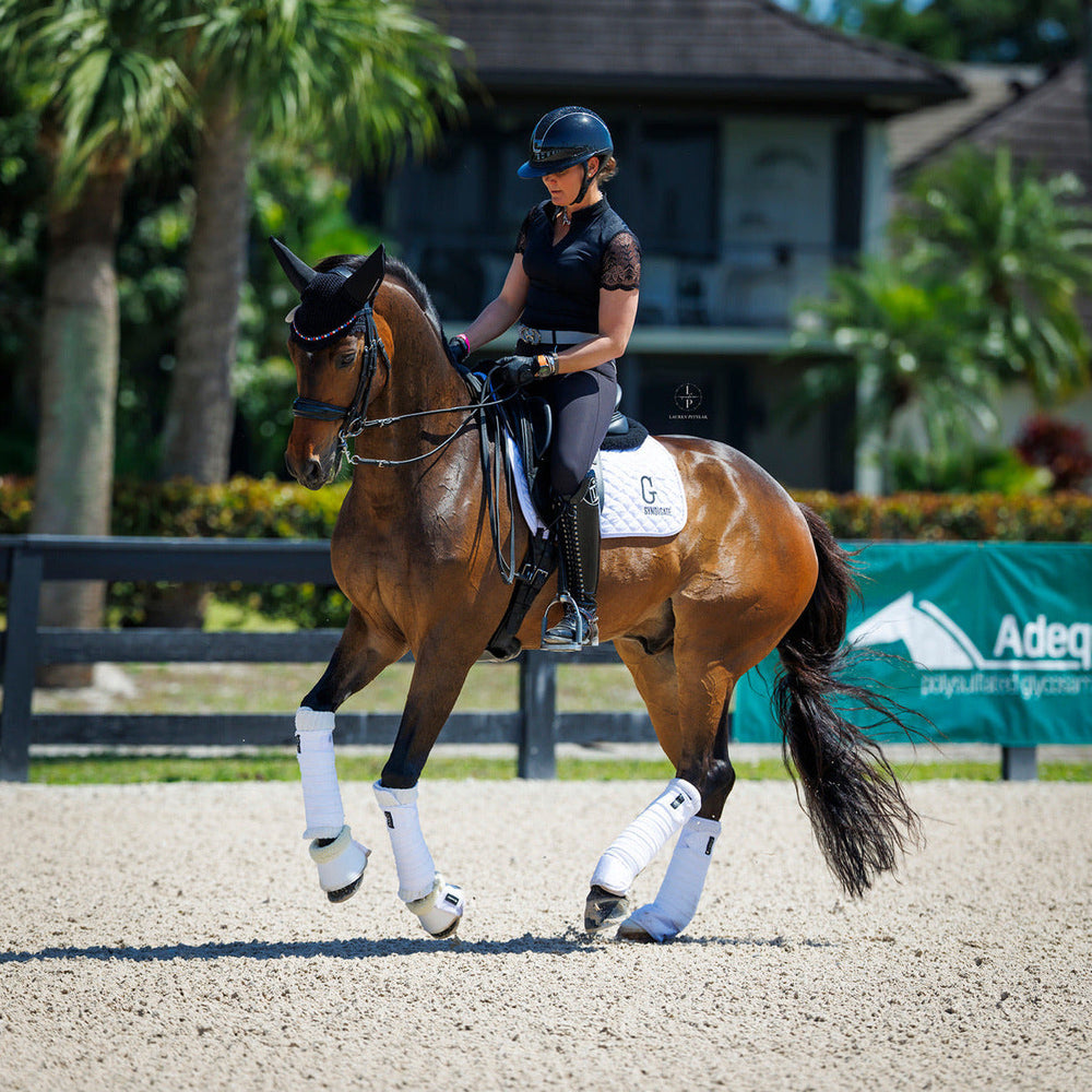 Charlie Short Sleeve Lace Riding Shirt - Black - Equine Exchange Tack Shop