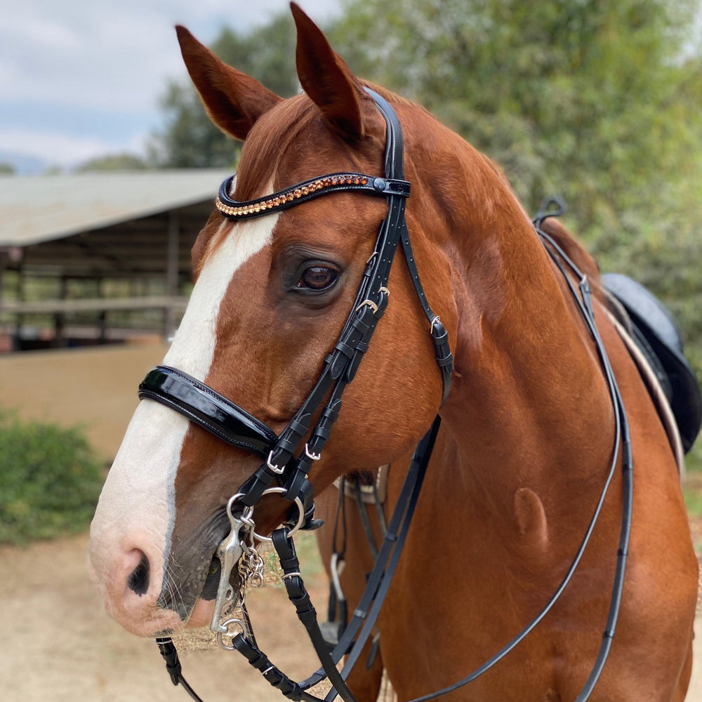 Halter Ego® Crystal Patent Browband - Caramel Honey - Equine Exchange Tack Shop