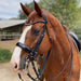 Halter Ego® Crystal Patent Browband - Caramel Honey - Equine Exchange Tack Shop