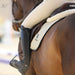 Champagne Saddle Pad - Equine Exchange Tack Shop