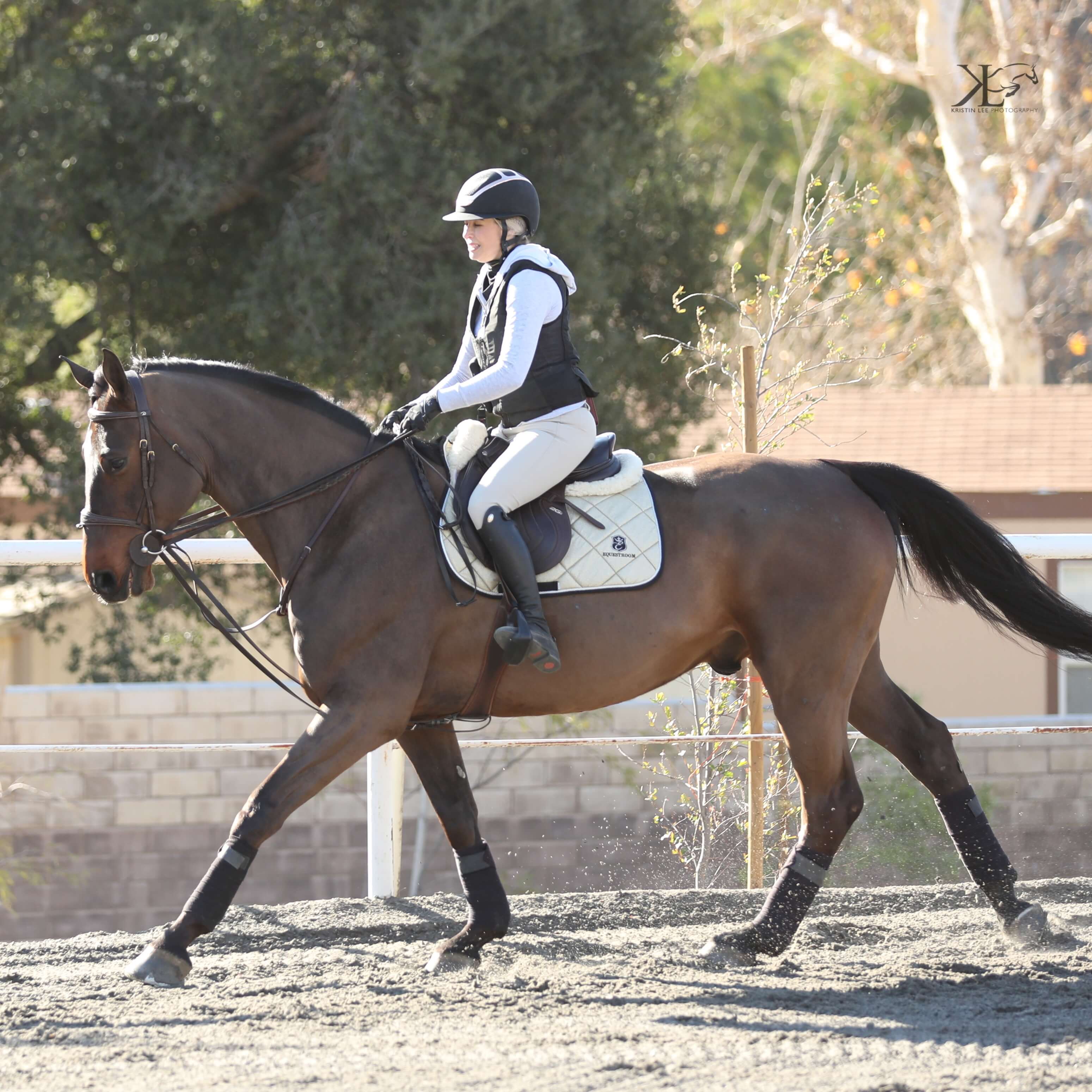 Champagne Saddle Pad - Equine Exchange Tack Shop