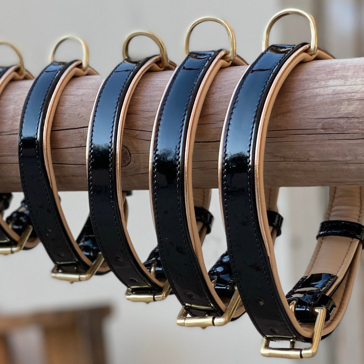 Halter Ego® Black Patent Thea Dog Collar - Equine Exchange Tack Shop