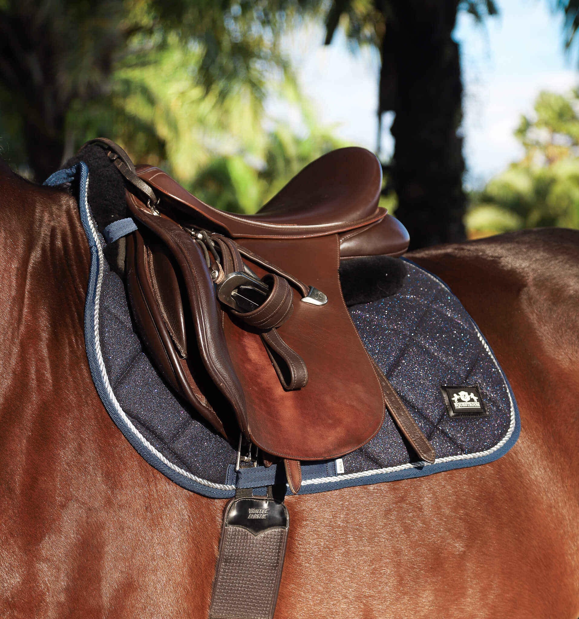 Deep Sapphire Saddle Pad - Equine Exchange Tack Shop