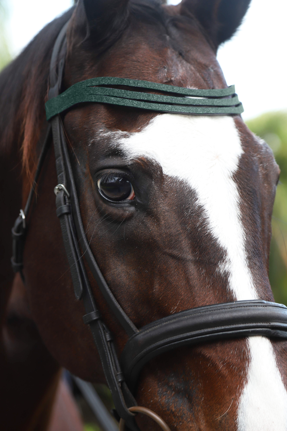 Jade Green Browband - Equine Exchange Tack Shop