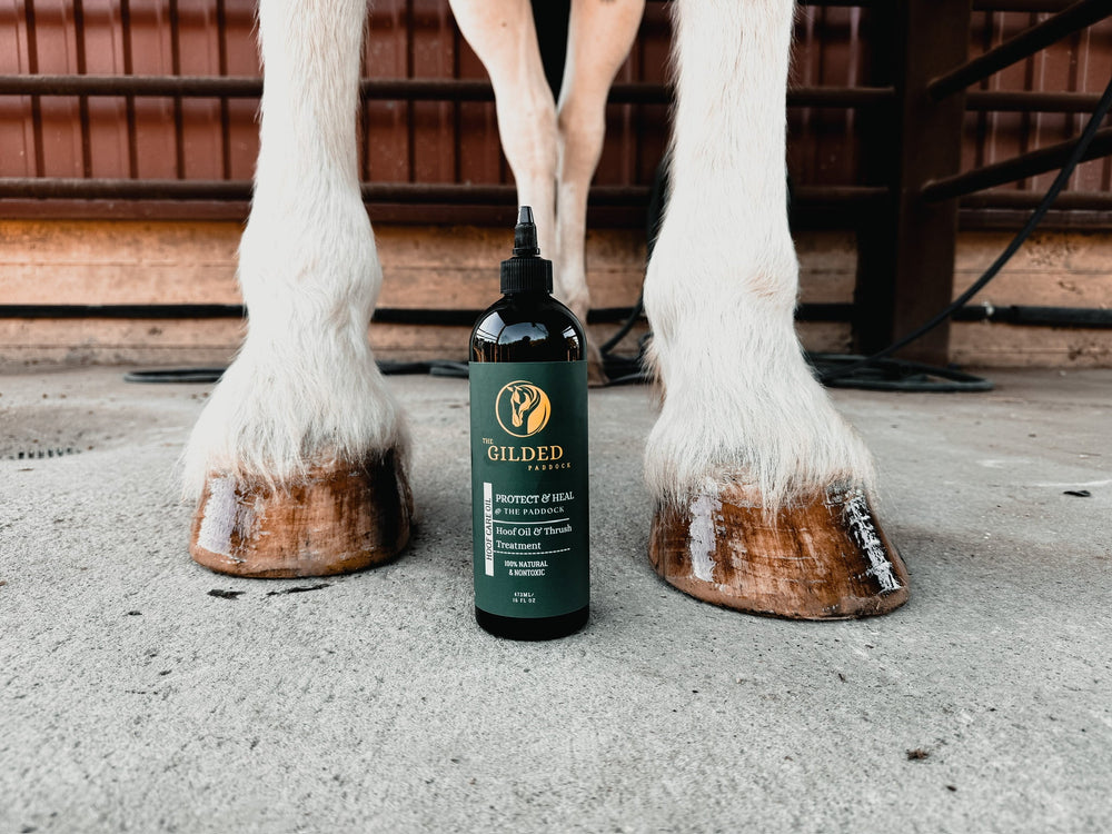 Hoof Oil & Thrush Treatment - 16oz Drip Bottle with Brush/Cap - Equine Exchange Tack Shop