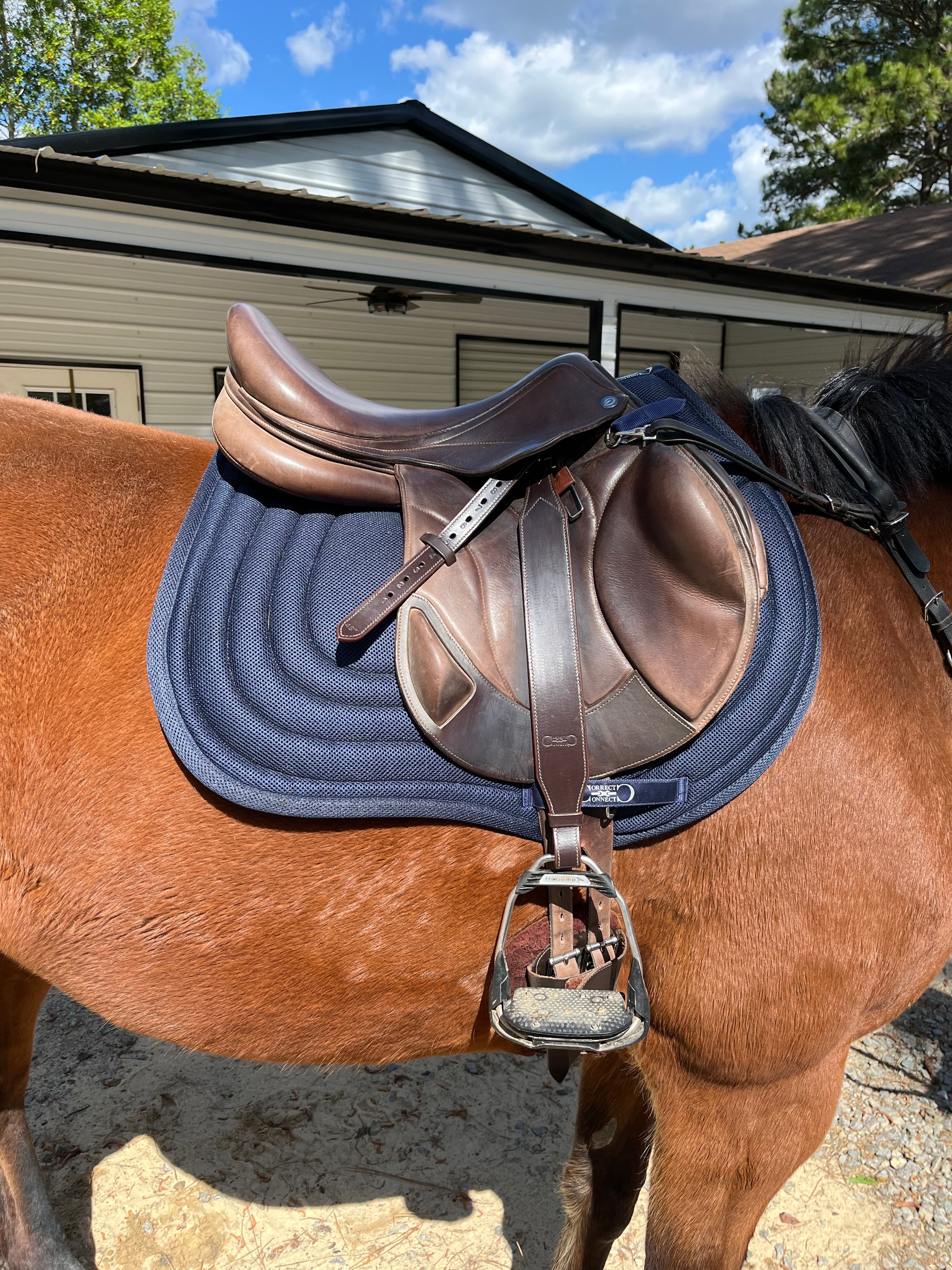 General Purpose Mesh Saddle Pad with Quick Dry Cotton Lining in Navy, White, or Black