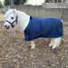 1200D 180G Waterproof & Breathable Adjustable Foal Blanket - Equine Exchange Tack Shop