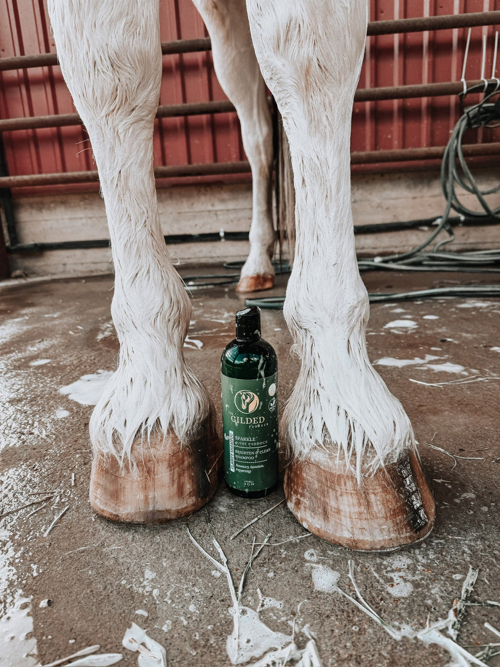 SPARKLE @ The Paddock:  CLARIFY SHAMPOO - Equine Exchange Tack Shop