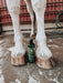 SPARKLE @ The Paddock:  CLARIFY SHAMPOO - Equine Exchange Tack Shop