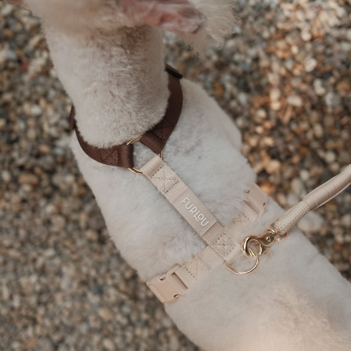 Brown and Tan Dog Harness