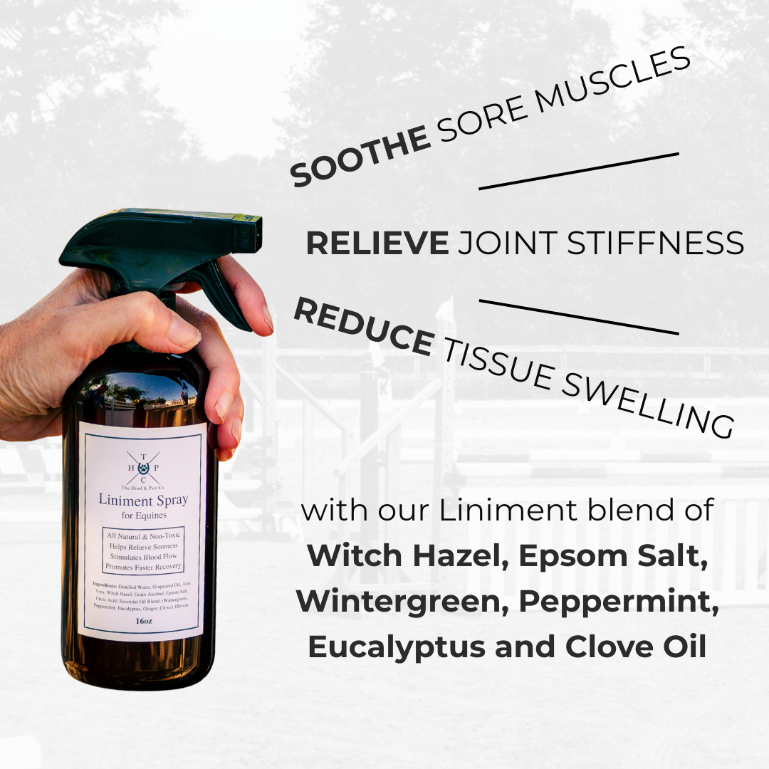 All Natural Liniment Spray - For Horses - 16oz - Equine Exchange Tack Shop