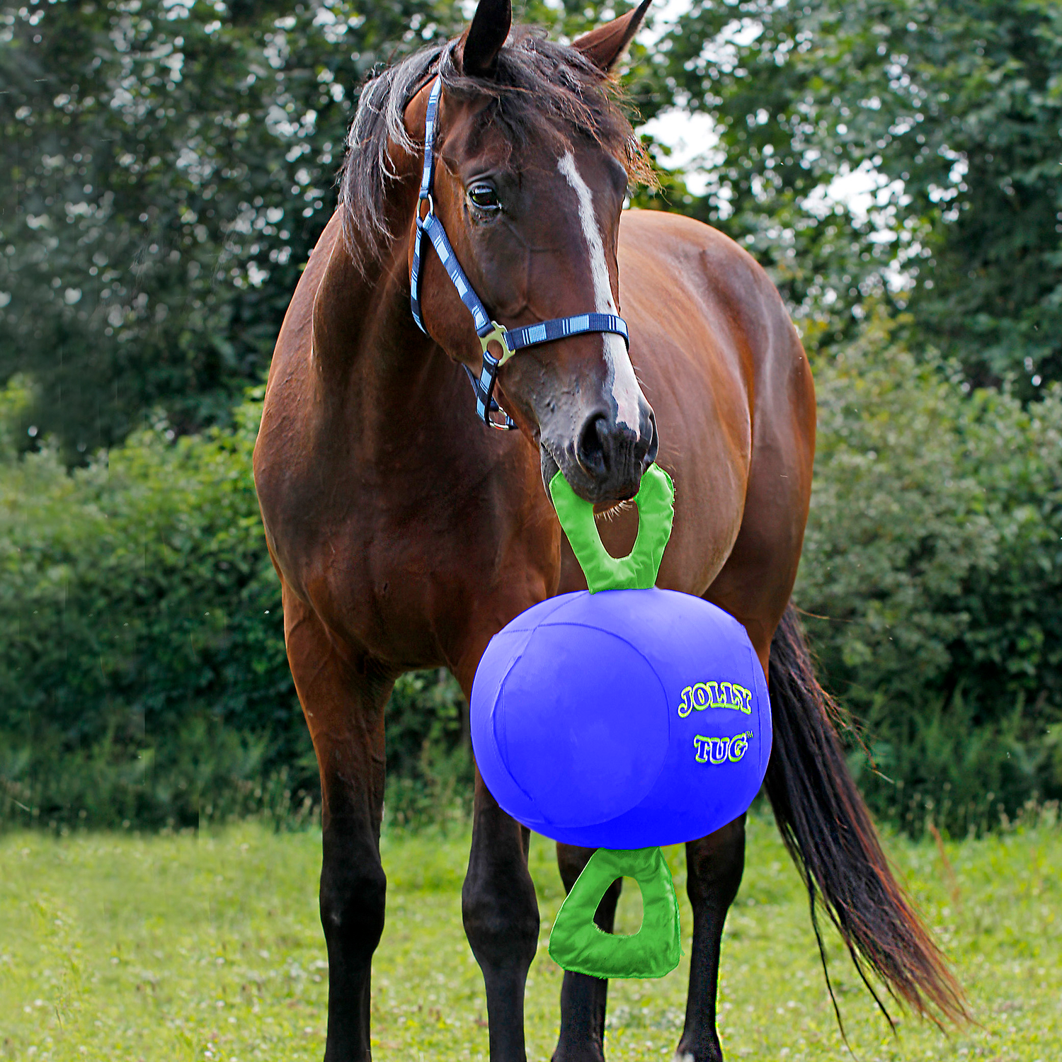Horse Jolly Tug - Equine Exchange Tack Shop