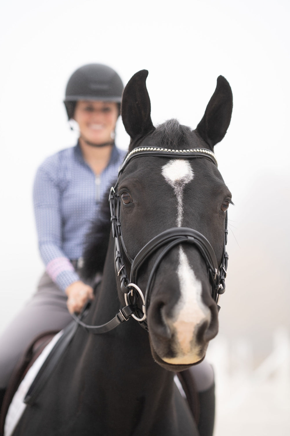Black Oak Magnolia Dressage Bridle - Equine Exchange Tack Shop