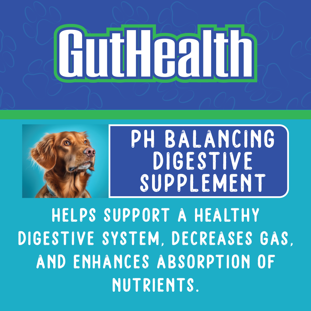 GutHealth Xtra Strength for Dogs - Equine Exchange Tack Shop