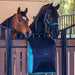 Blanket Storage Bag - Equine Exchange Tack Shop