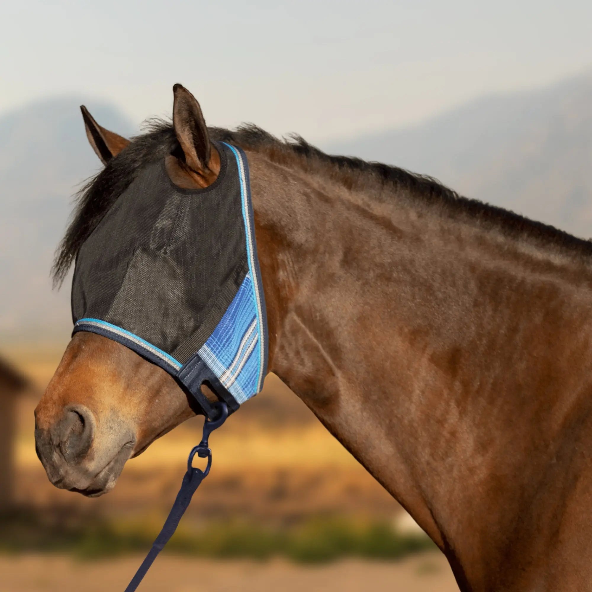 UViator CatchMask - without Ears - 90% UV Blocking - Equine Exchange Tack Shop