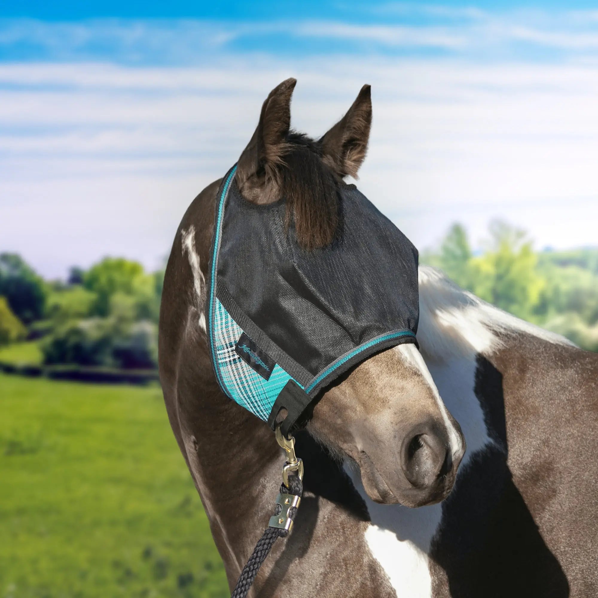 UViator CatchMask - without Ears - 90% UV Blocking - Equine Exchange Tack Shop
