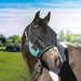 UViator CatchMask - Dual Ear Opening - 90% UV Blocking - Equine Exchange Tack Shop