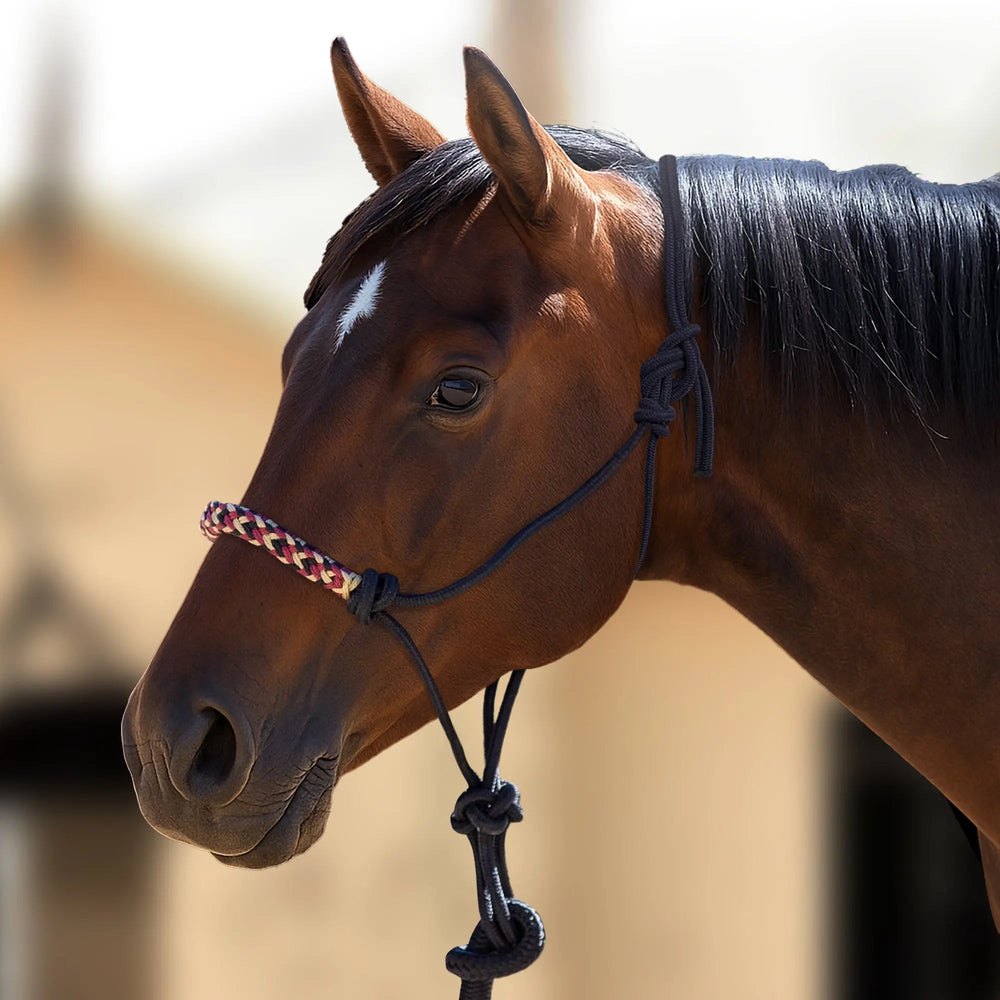 Clinician Rope Halter - Equine Exchange Tack Shop