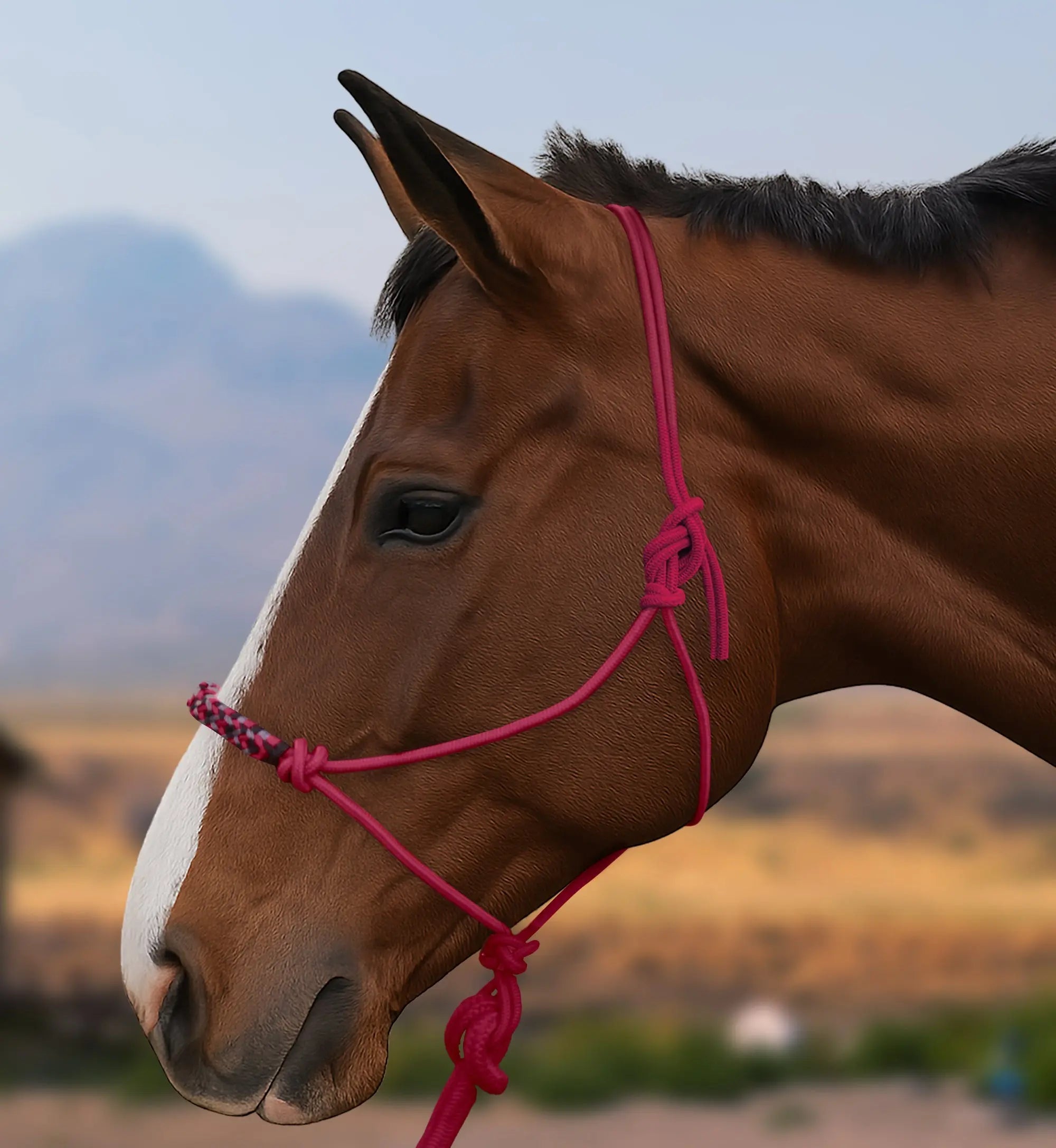 Clinician Rope Halter - Equine Exchange Tack Shop