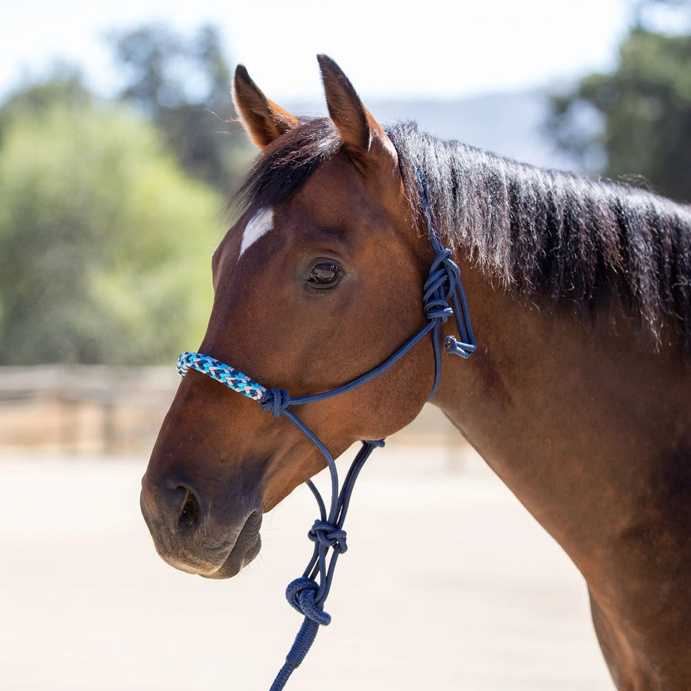 Clinician Rope Halter - Equine Exchange Tack Shop