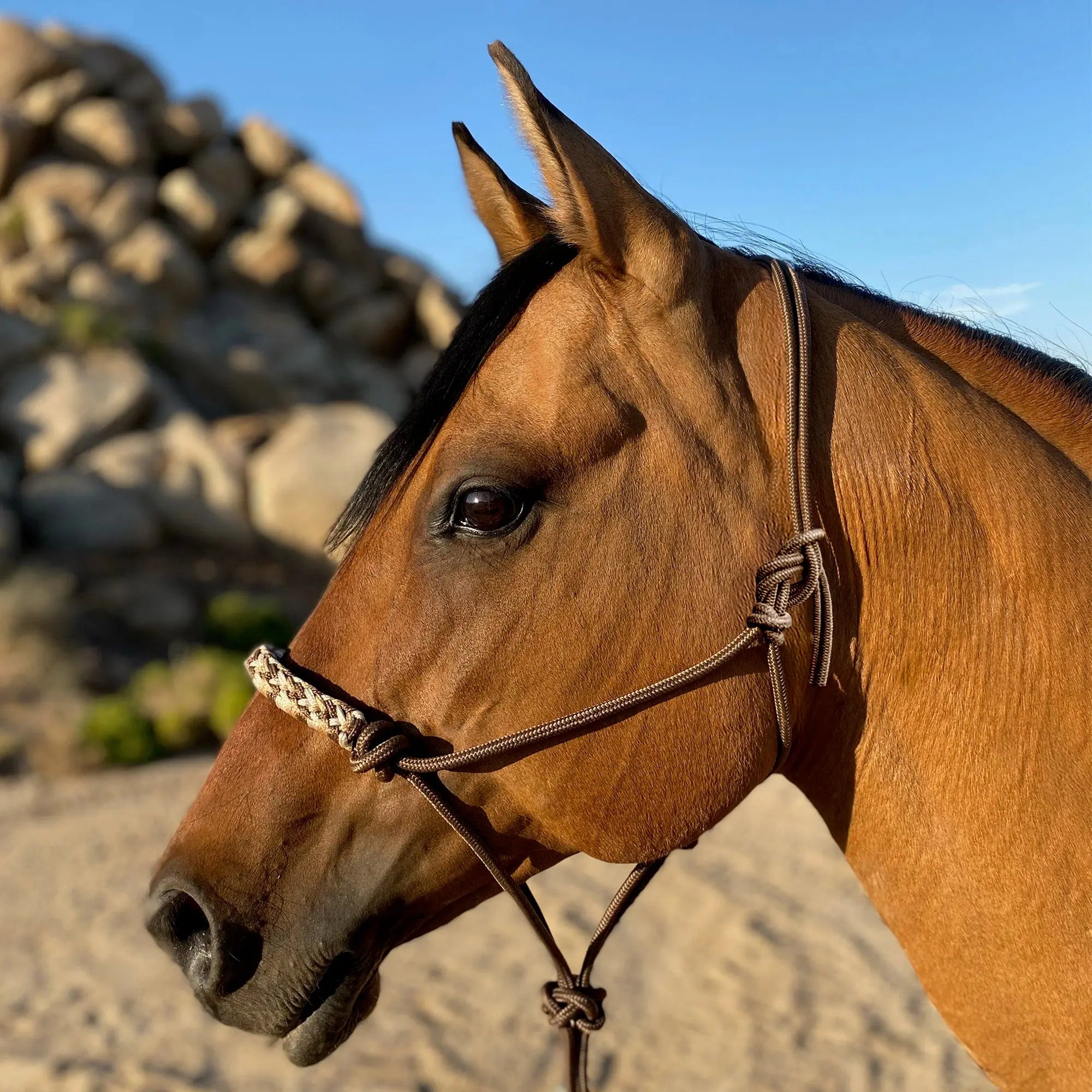 Clinician Rope Halter - Equine Exchange Tack Shop