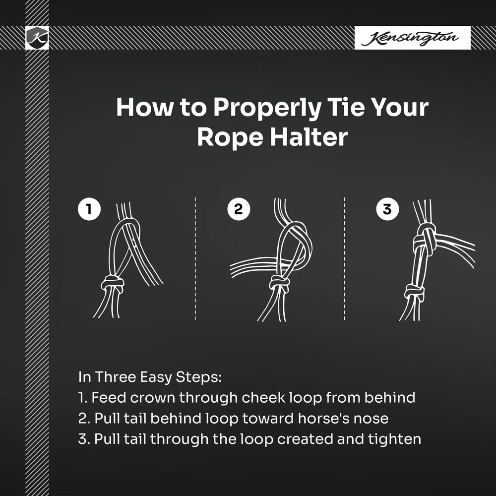 Clinician Rope Halter - Equine Exchange Tack Shop