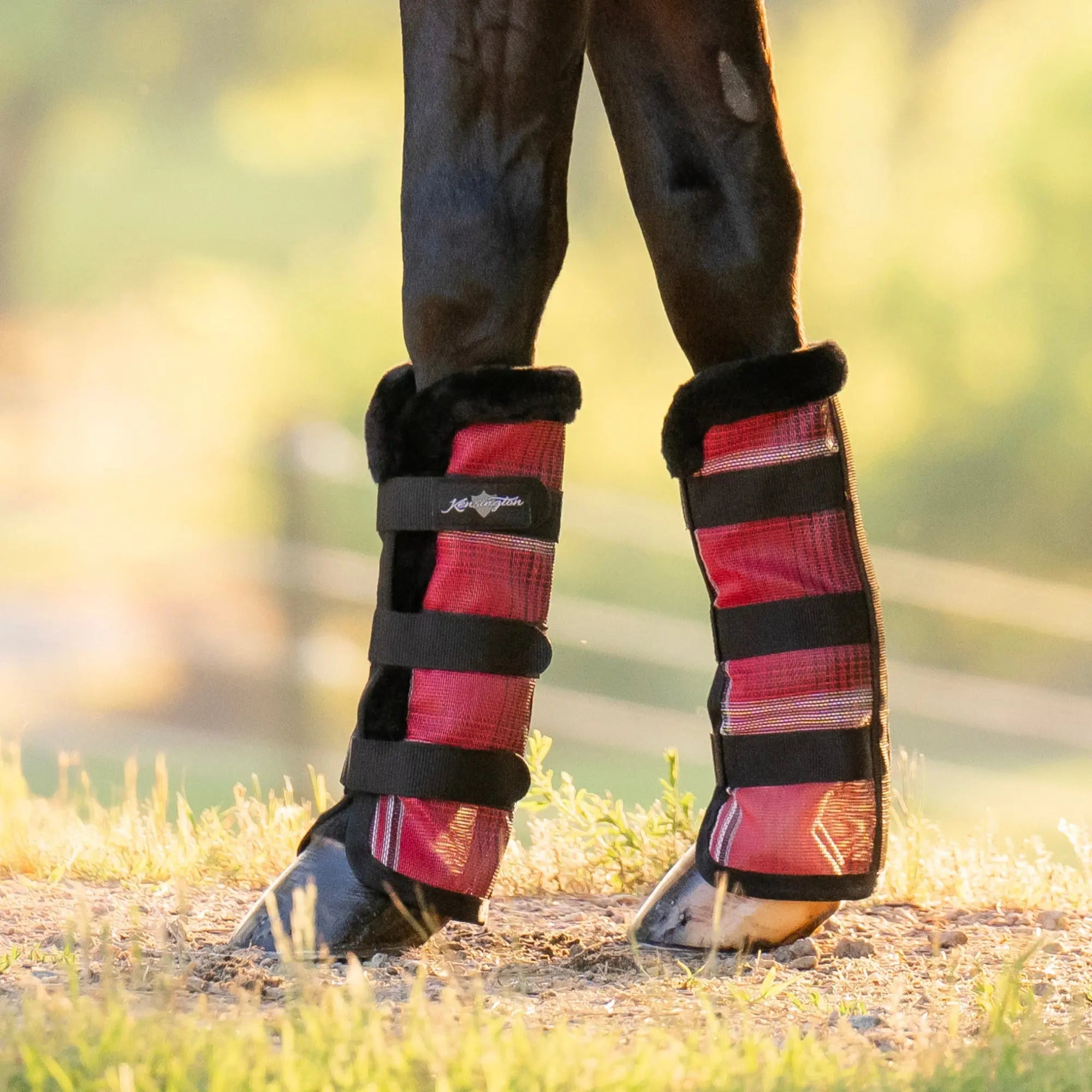Horse Fly Boots with Fleece - Pair - Equine Exchange Tack Shop