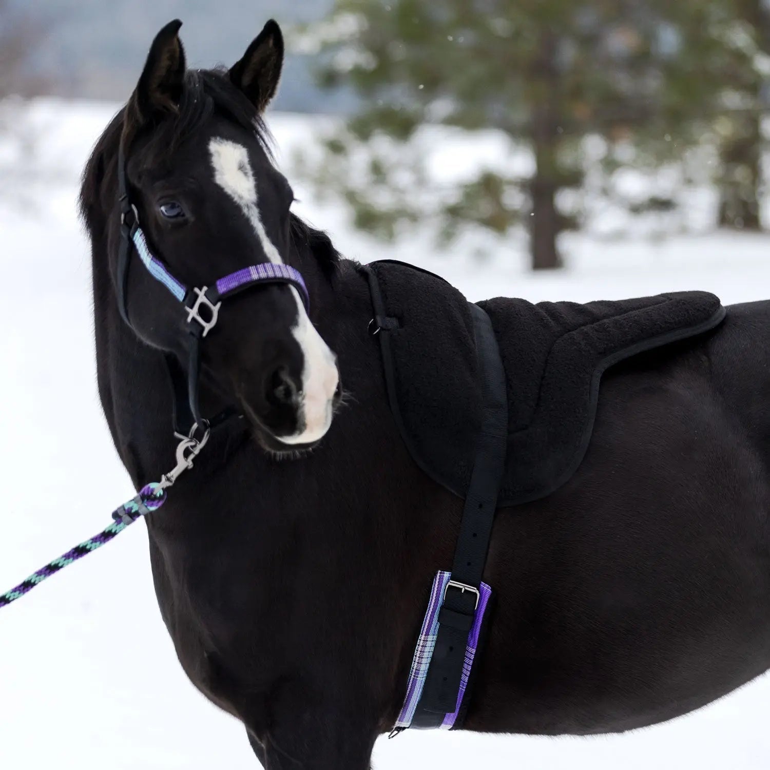 Fleece Bareback Pad - Equine Exchange Tack Shop