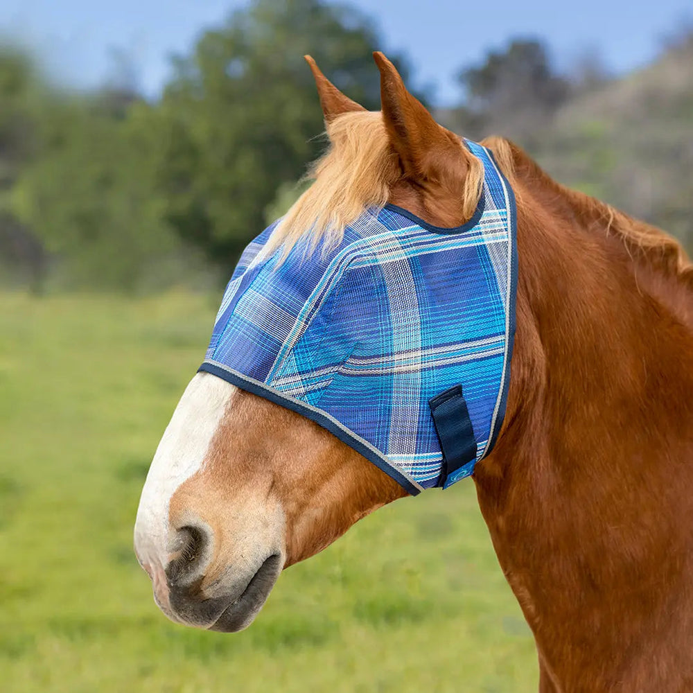 Draft Fly Mask with Web Trim - Open Ear Design - 73% UV Blocking - Equine Exchange Tack Shop