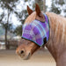 Draft Fly Mask with Web Trim - Open Ear Design - 73% UV Blocking - Equine Exchange Tack Shop