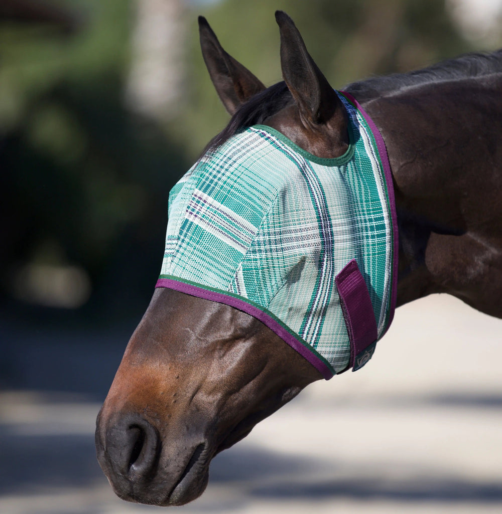 Draft Fly Mask with Web Trim - Open Ear Design - 73% UV Blocking - Equine Exchange Tack Shop