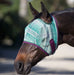 Draft Fly Mask with Web Trim - Open Ear Design - 73% UV Blocking - Equine Exchange Tack Shop