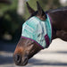 Fly Mask with Web Trim - Open Ear Design - 73% UV Blocking - Equine Exchange Tack Shop