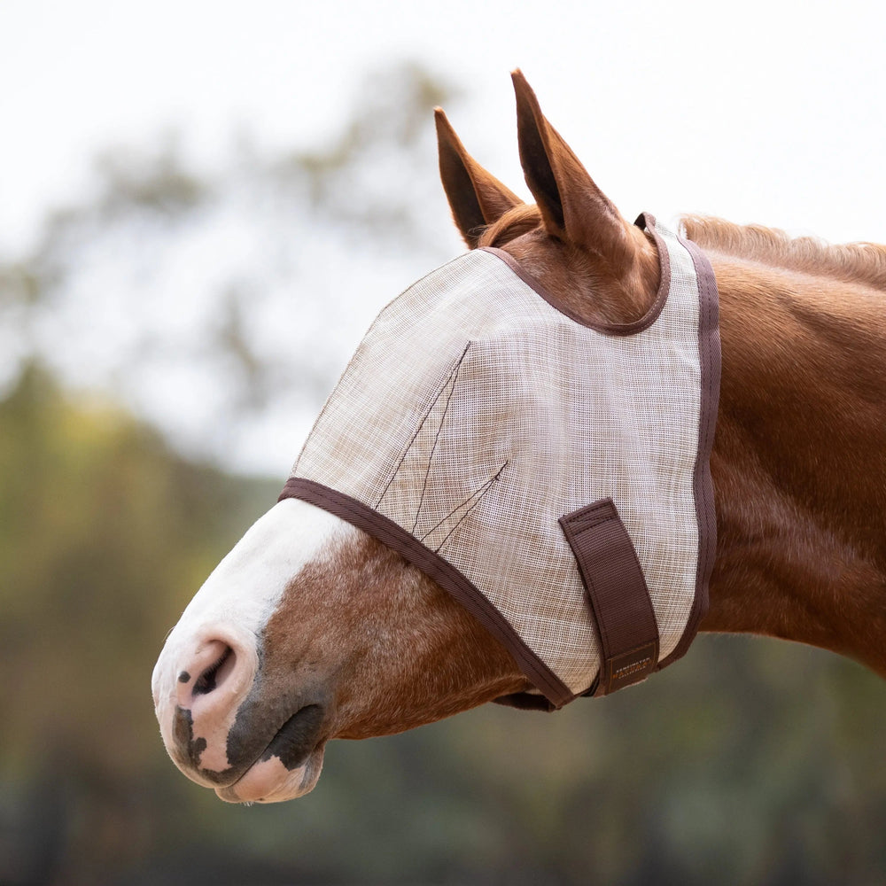 Draft Fly Mask with Web Trim - Open Ear Design - 73% UV Blocking - Equine Exchange Tack Shop