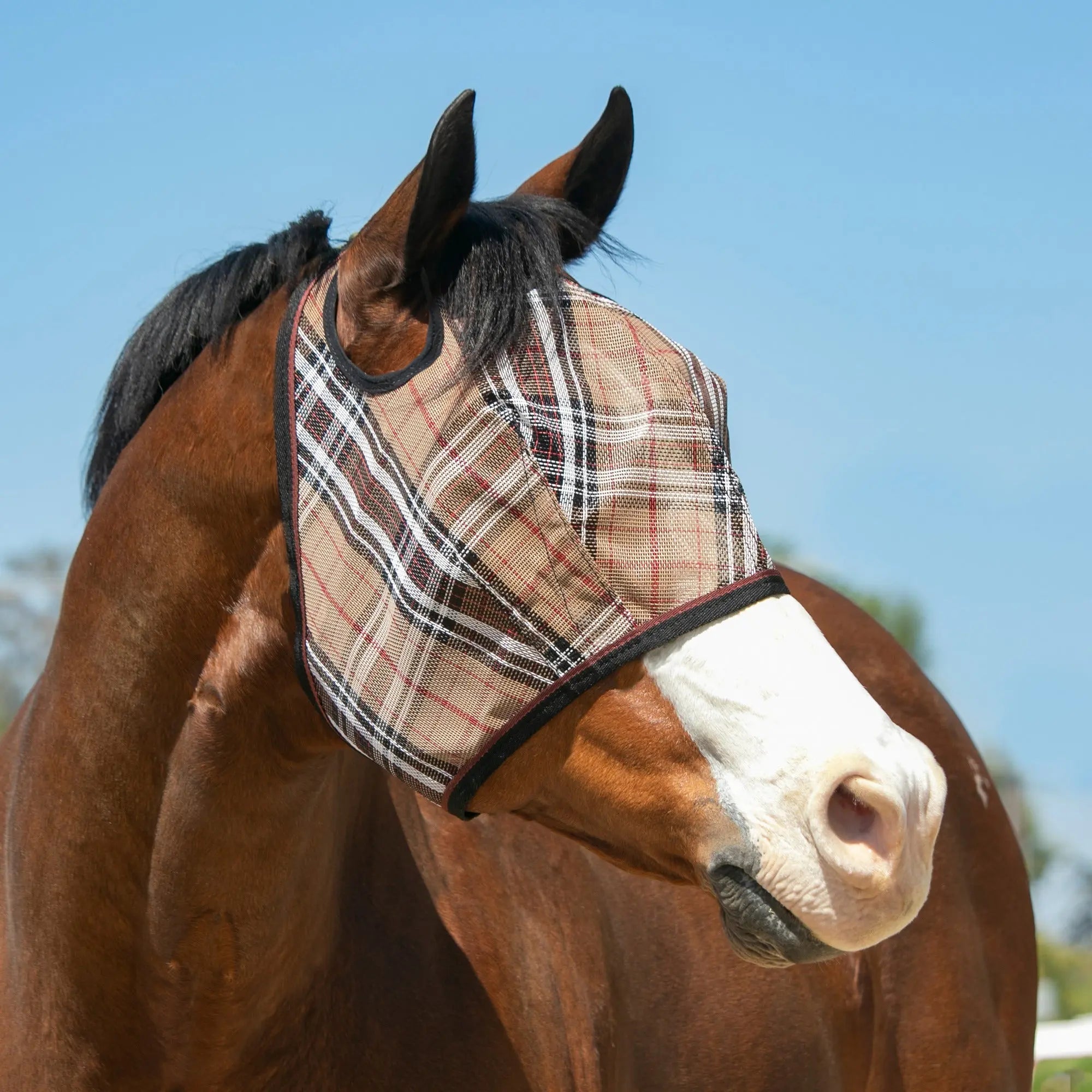 Fly Mask with Web Trim - Dual Ear Opening - 73% UV Blocking - Equine Exchange Tack Shop