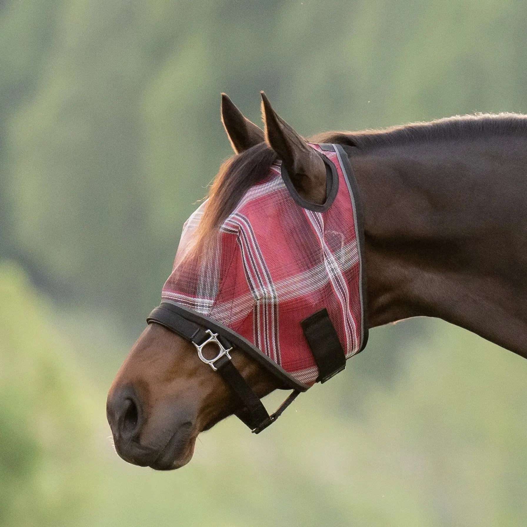 Fly Mask with Web Trim - Dual Ear Opening - 73% UV Blocking - Equine Exchange Tack Shop
