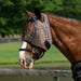 Draft Fly Mask with Web Trim - Dual Ear Holes - 73% UV Blocking - Equine Exchange Tack Shop