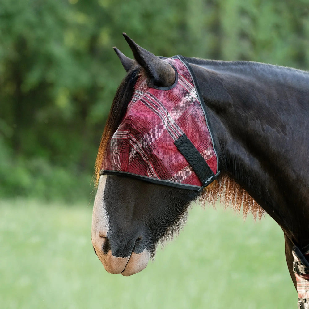 Draft Fly Mask with Web Trim - Dual Ear Holes - 73% UV Blocking - Equine Exchange Tack Shop