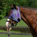 Draft Fly Mask with Web Trim - Dual Ear Holes - 73% UV Blocking - Equine Exchange Tack Shop