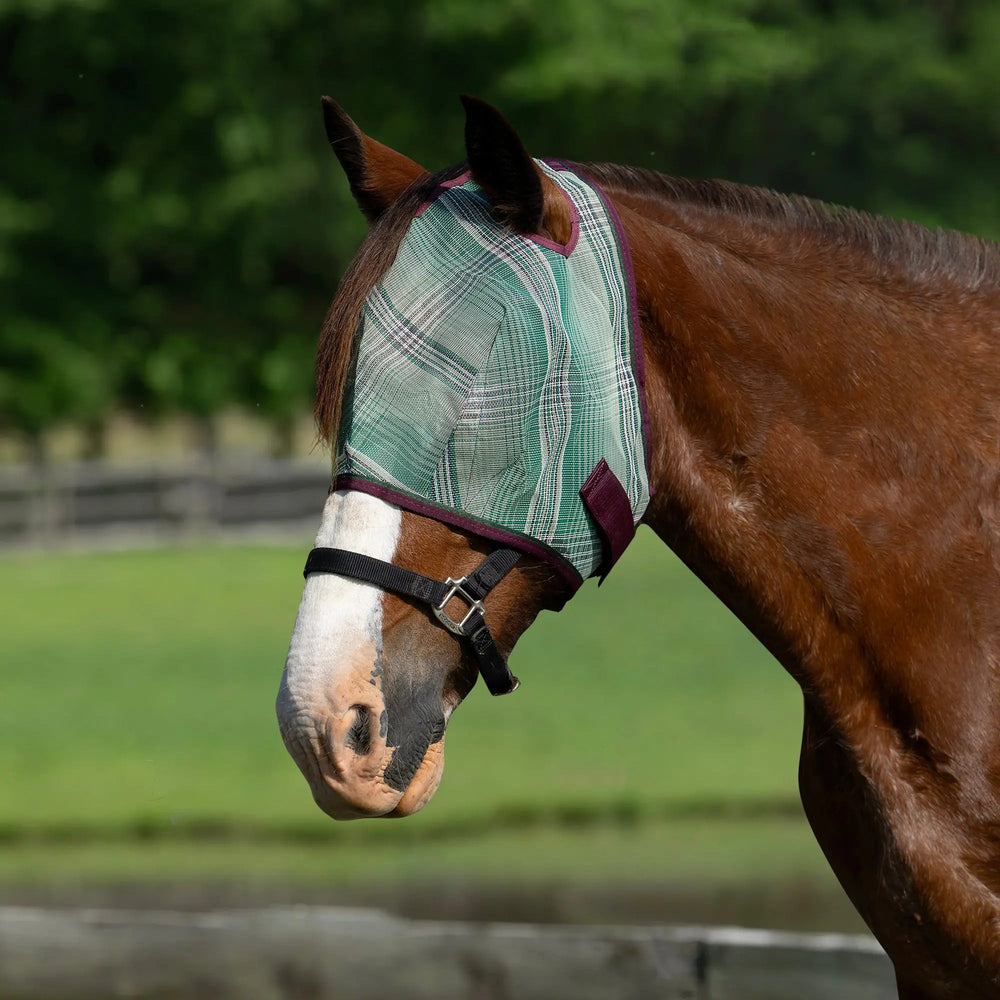 Draft Fly Mask with Web Trim - Dual Ear Holes - 73% UV Blocking - Equine Exchange Tack Shop