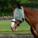 Draft Fly Mask with Web Trim - Dual Ear Holes - 73% UV Blocking - Equine Exchange Tack Shop