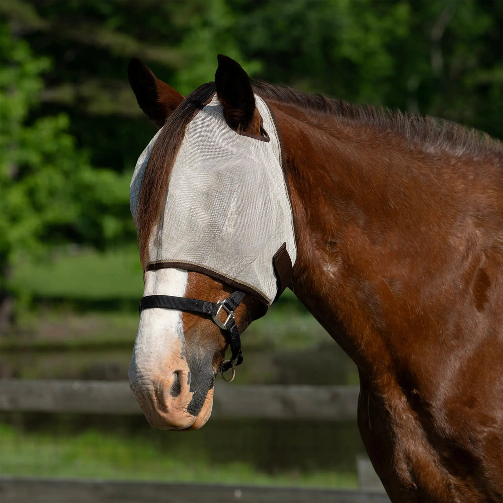 Draft Fly Mask with Web Trim - Dual Ear Holes - 73% UV Blocking - Equine Exchange Tack Shop