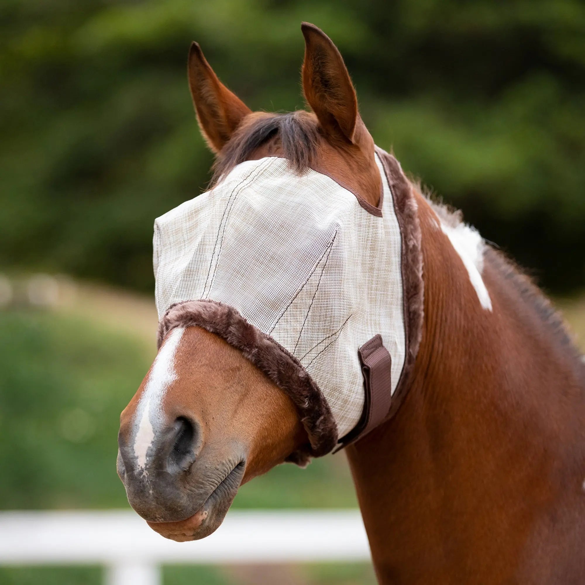 Fly Mask with Fleece Trim - Open Ear Design - 73% UV Blocking - Equine Exchange Tack Shop