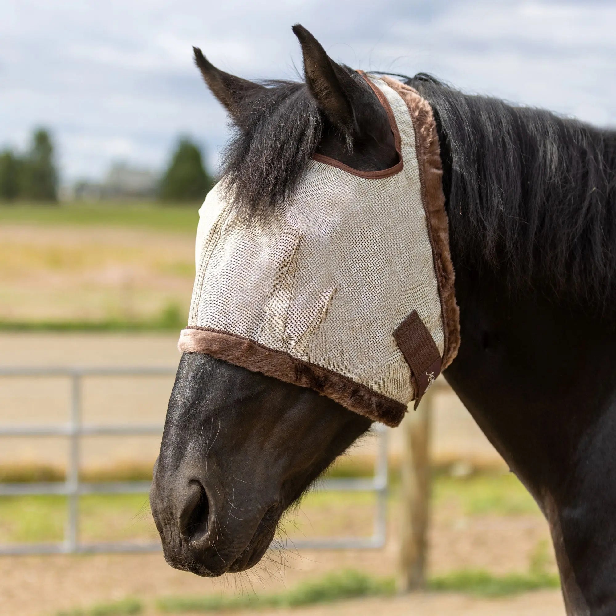 Draft Fly Mask with Fleece Trim - Open Ear Design - 73% UV Blocking - Equine Exchange Tack Shop