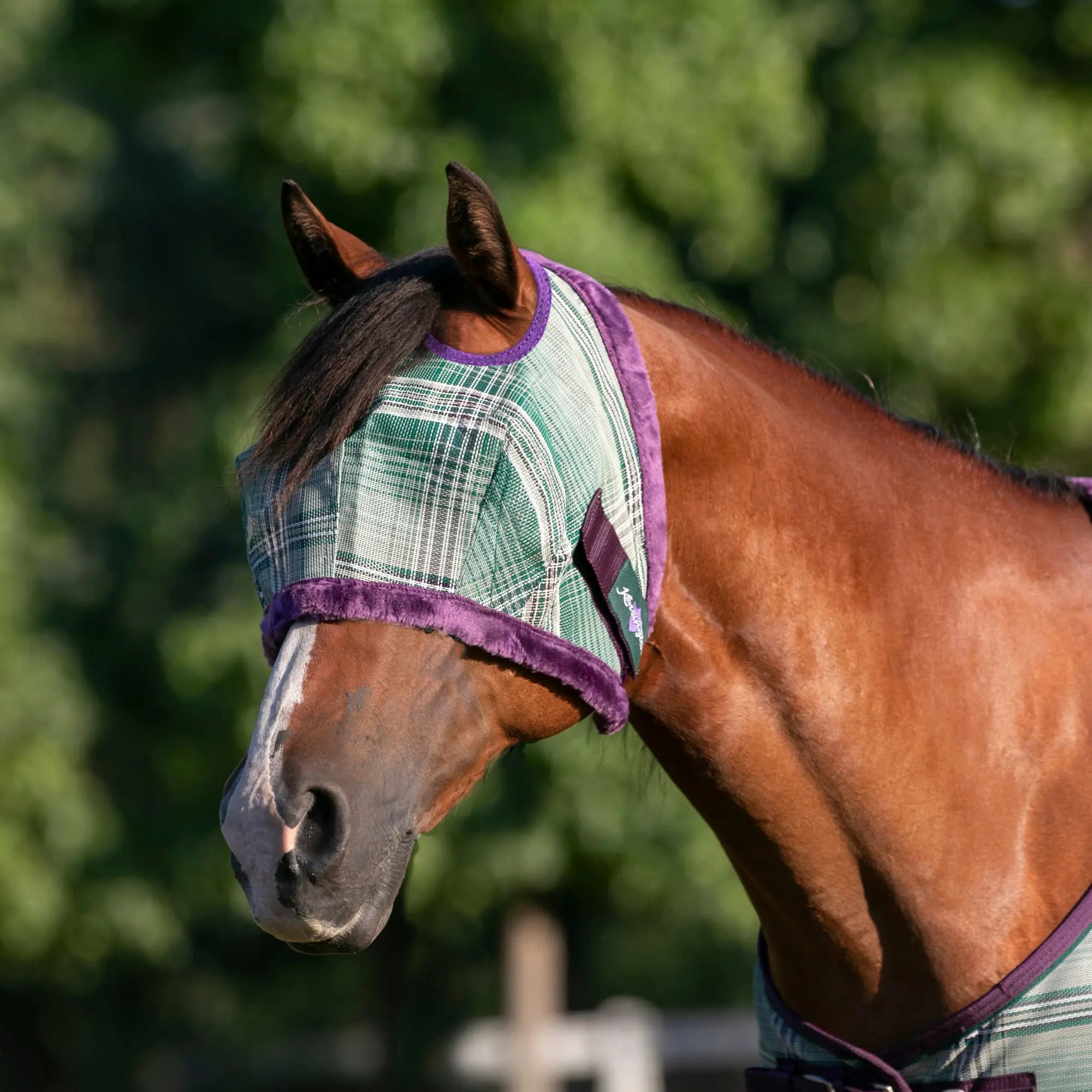 Fly Mask with Fleece Trim - Dual Ear Holes - 73% UV Blocking - Equine Exchange Tack Shop