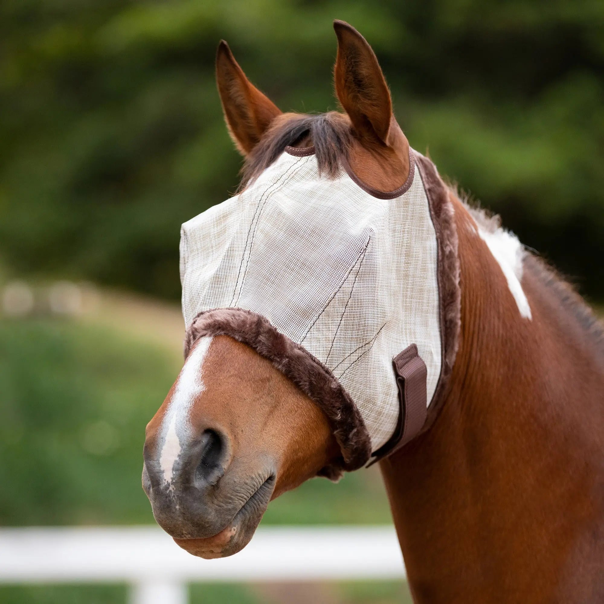 Fly Mask with Fleece Trim - Dual Ear Holes - 73% UV Blocking - Equine Exchange Tack Shop