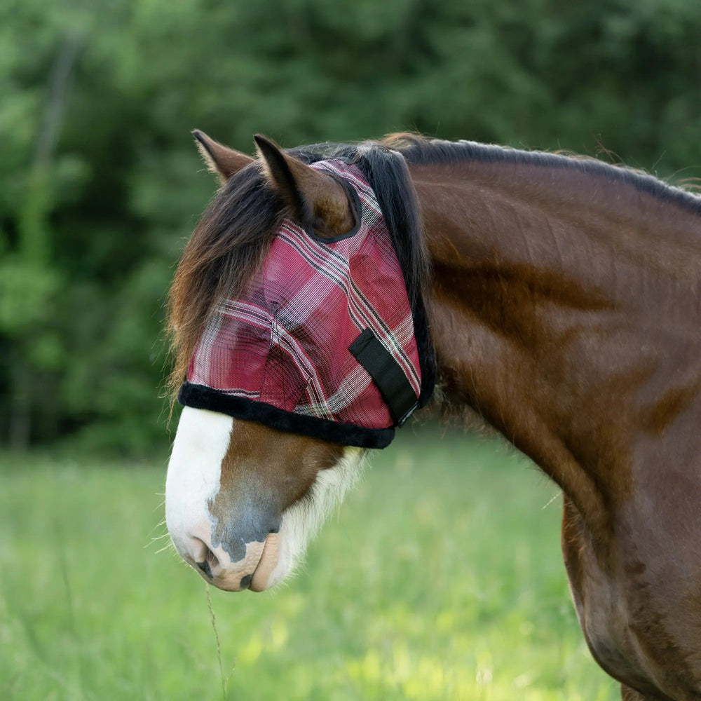 Draft Fly Mask with Fleece Trim - Dual Ear Holes - 73% UV Blocking - Equine Exchange Tack Shop