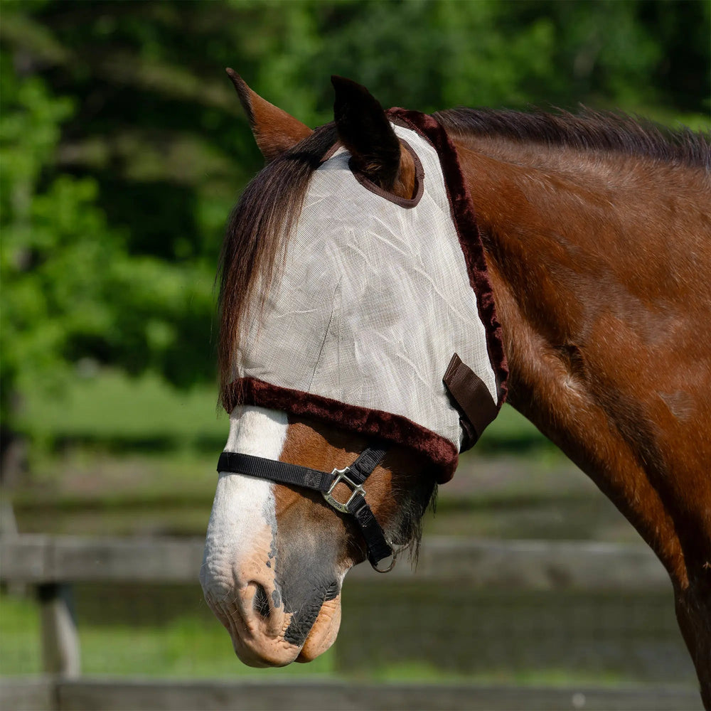 Draft Fly Mask with Fleece Trim - Dual Ear Holes - 73% UV Blocking - Equine Exchange Tack Shop