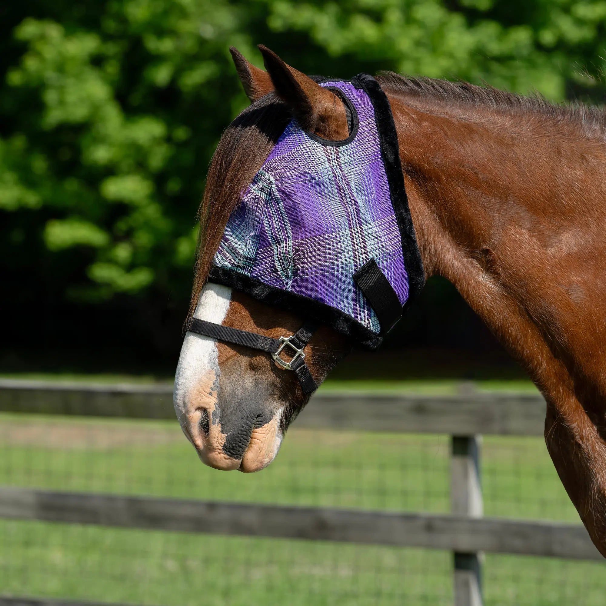 Draft Fly Mask with Fleece Trim - Dual Ear Holes - 73% UV Blocking - Equine Exchange Tack Shop